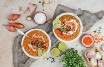 DAHL DE LENTILLES CORAIL