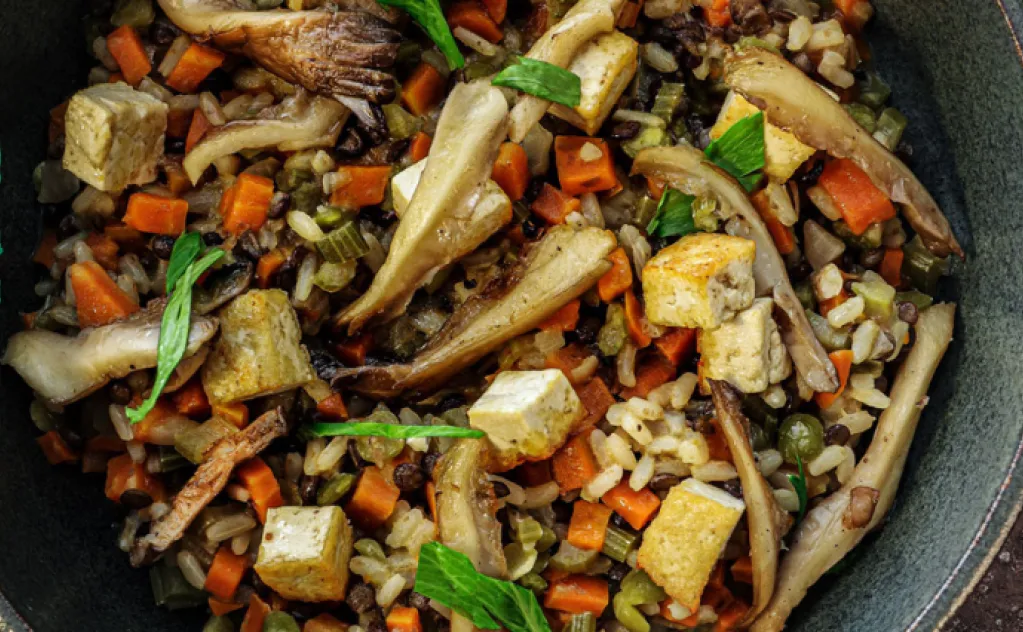 RISOTTO LÉGUMES TOFU PLEUROTTES