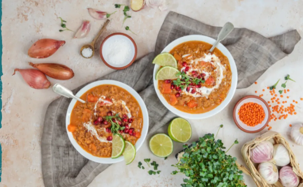 DAHL DE LENTILLES CORAIL