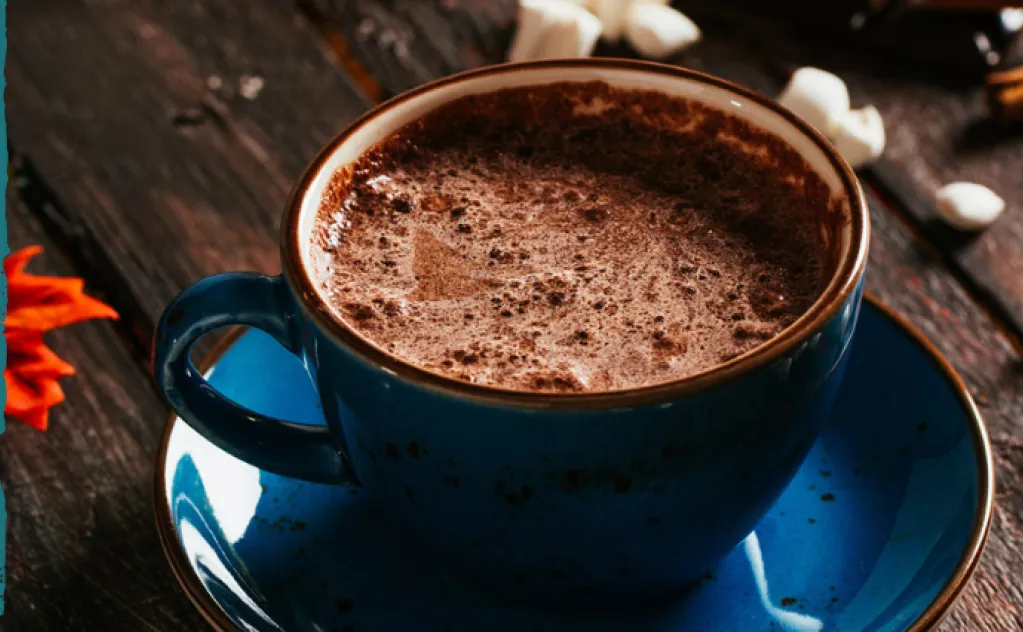CHOCOLAT CHAUD AUX ÉPICES DE NOËL